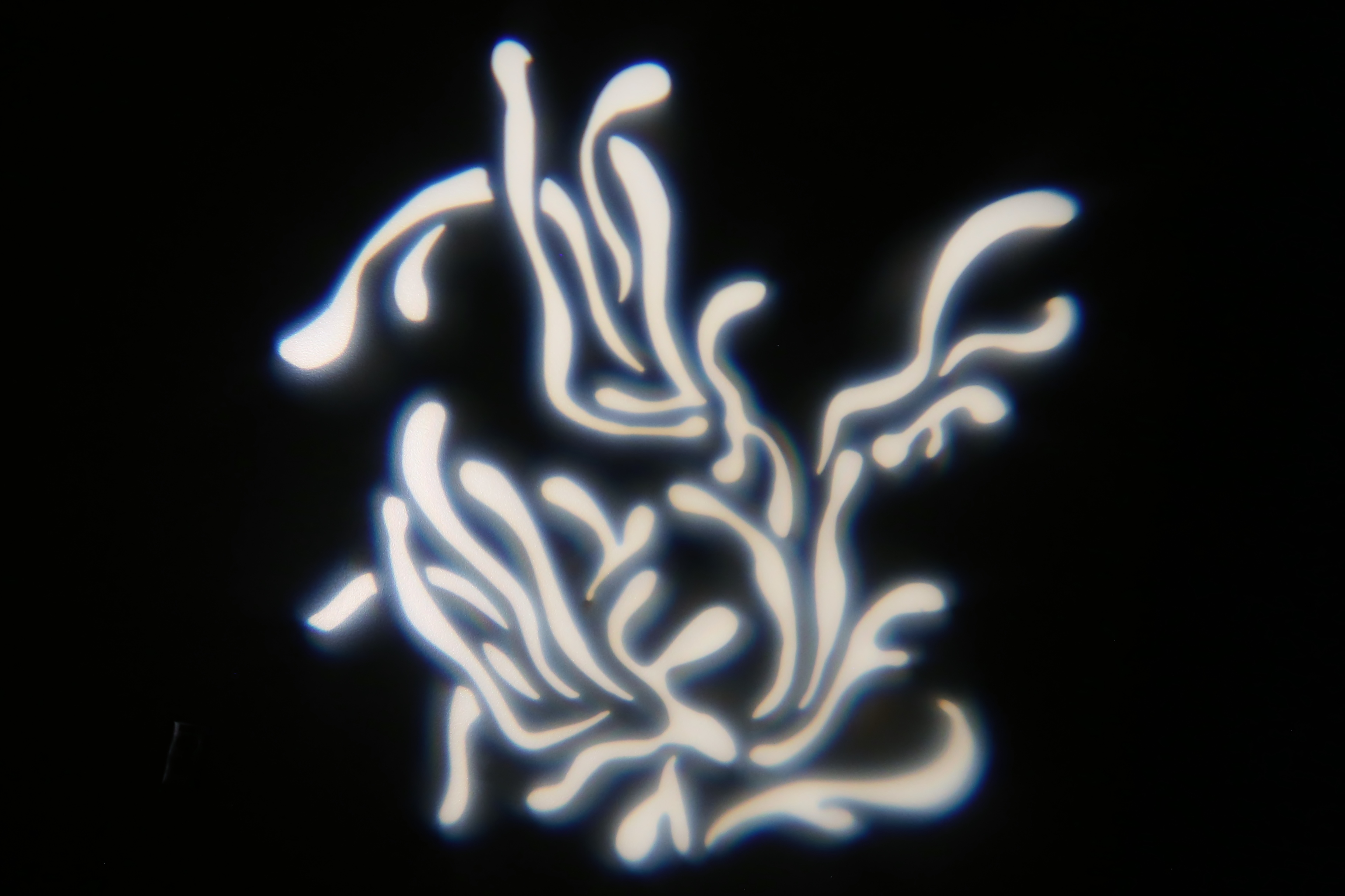 Texture - Coral Reef 1